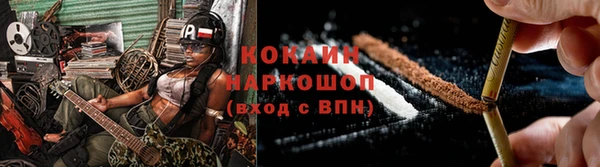 стаф Киренск