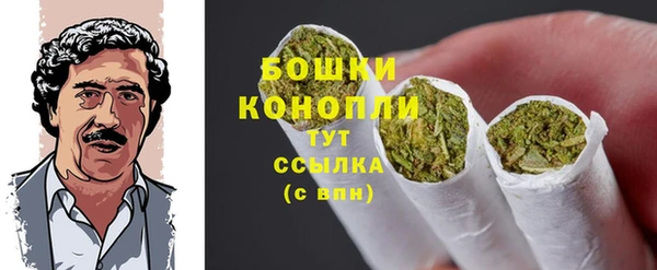 стаф Киренск