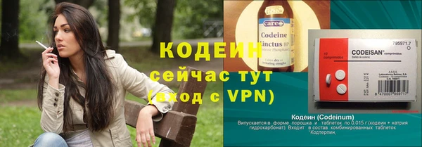 стаф Киренск