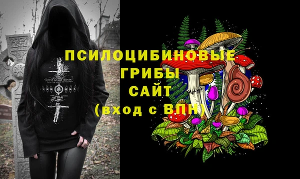 стаф Киренск